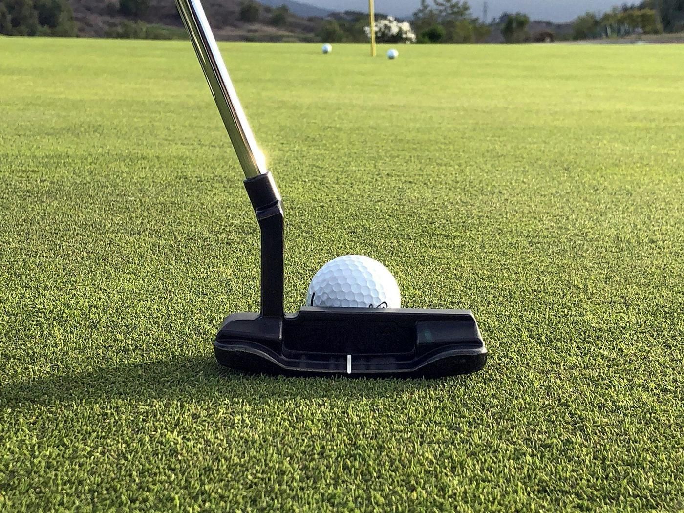 Backyard putting green in Orangeville